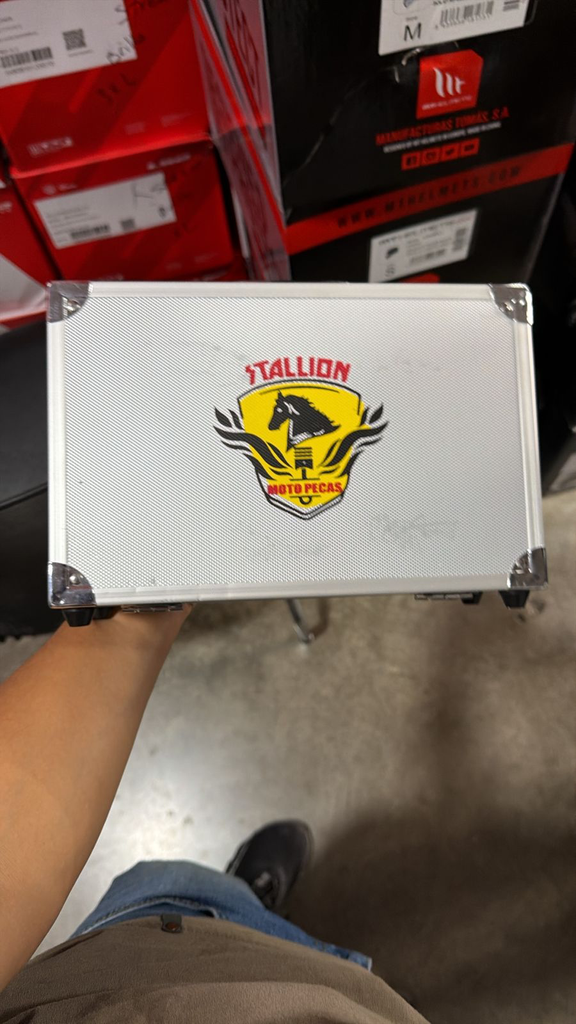 Exploradoras Stallion